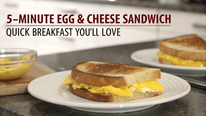 5-Minute Egg & Cheese Sandwich – Quick Breakfast You’ll Love